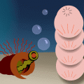 'Weird Sea'