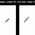 life - part three