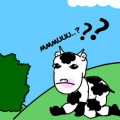 'the  poor cow'
