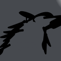 DARK ARTS