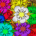 The colourful explosion