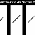 life - part sixteen