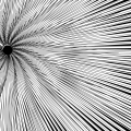 vortex