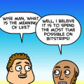 Wacky Wisdom