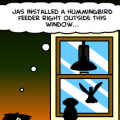 Hummingbirds