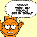 'Dogs!!'