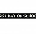 my school year