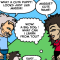 Meeting a Puppy