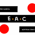 Eastern Aisan Coalition Flag
