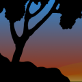 Ocean Sunset Thru the Trees