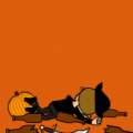 November 1, 2008