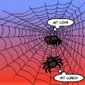 Spider Love