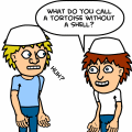 The Adventures of Ariel and adiw