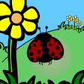 LADY BUG