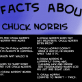 Ten Facts About Chuck Norris