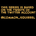 Look! Squirrel!