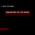 'Singapore On the Inside'