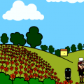 'poppy field'