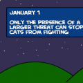 January 1