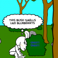 Bunnies