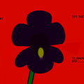 The Black Iris